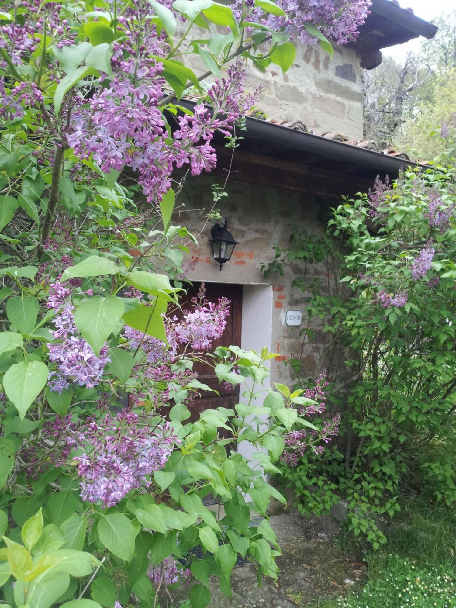 Villa Fattoria Il Praticino - Metato Castelfranco di Sopra Esterno foto